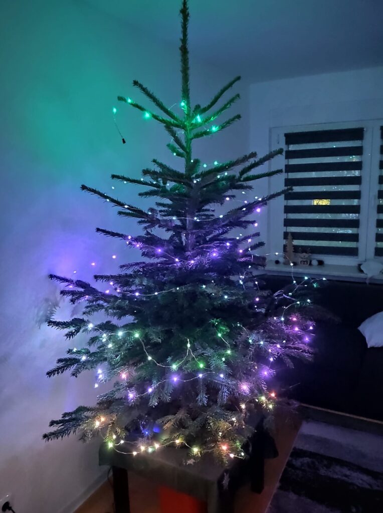 Tannenbaum mit Lichterkette